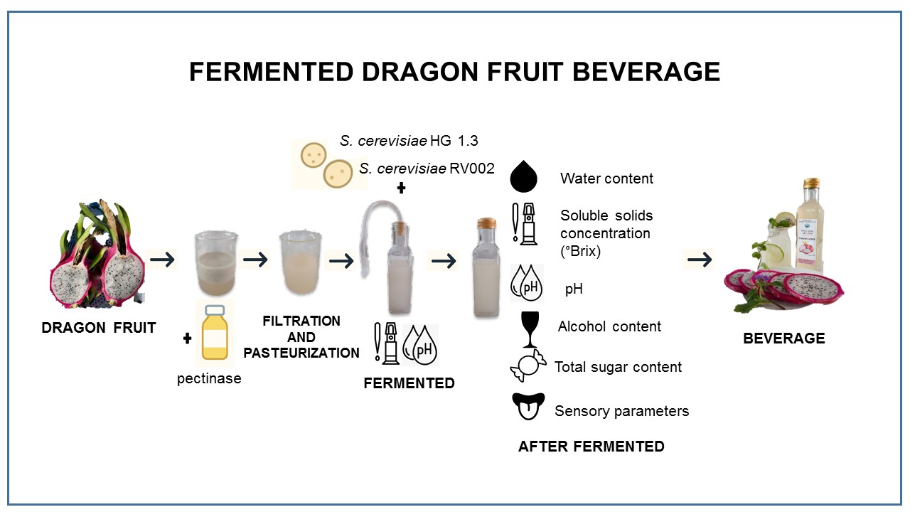 Graphical Abstract